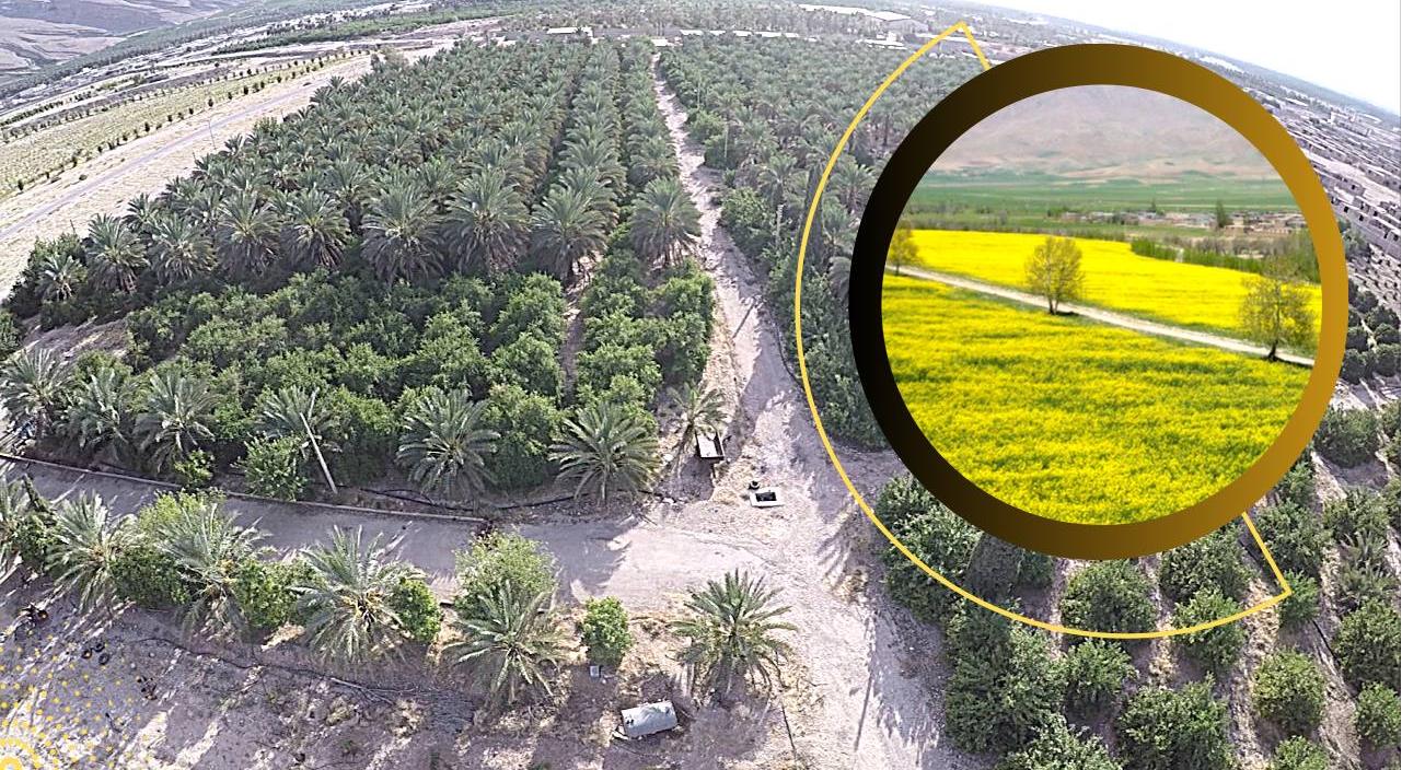 مولدسازی شرکت های هلال احمر با هدف خدمت‌رسانی به مردم